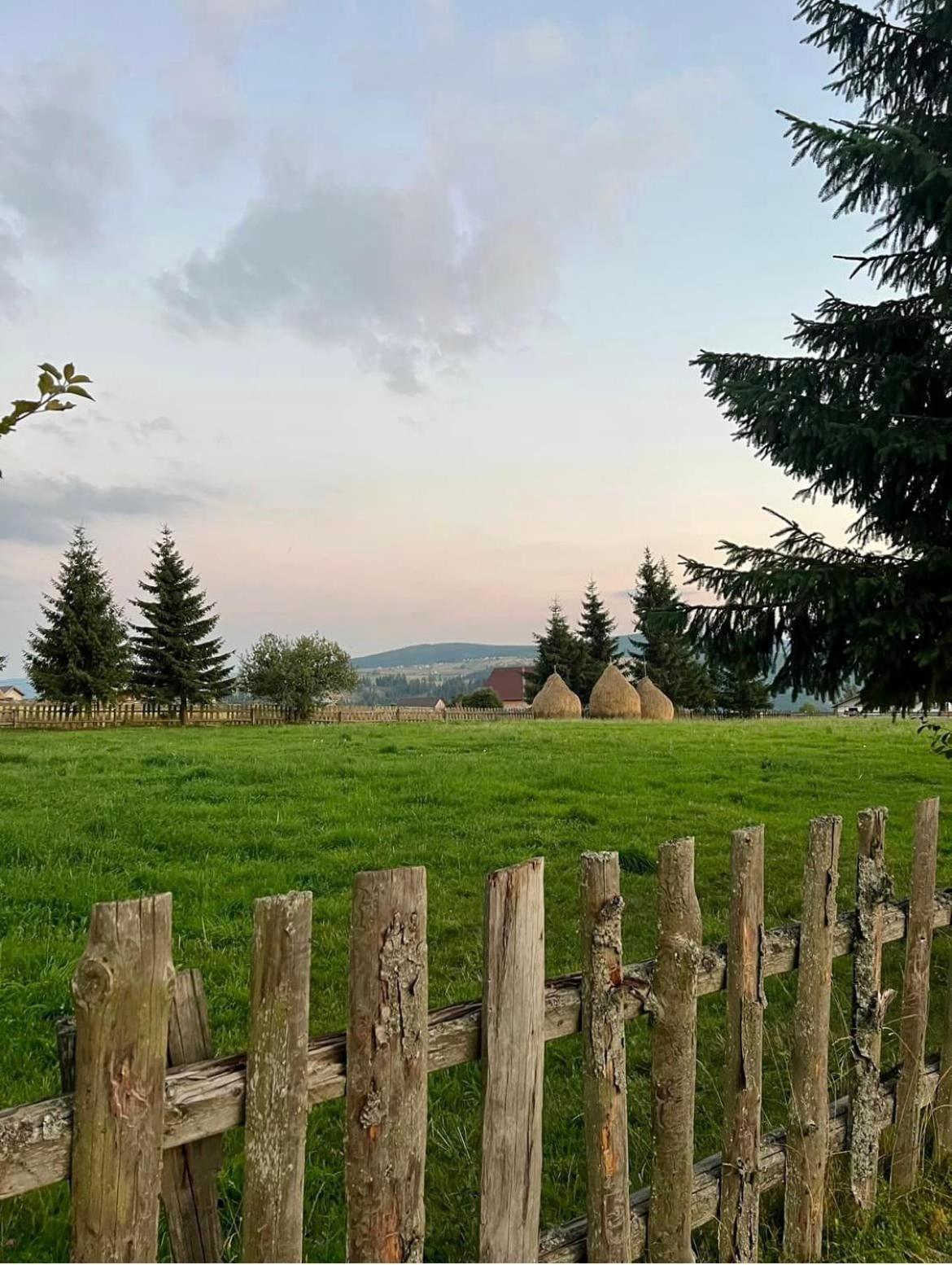 Mokki Villa Mărişel Bagian luar foto