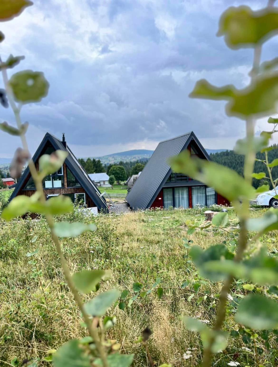 Mokki Villa Mărişel Bagian luar foto
