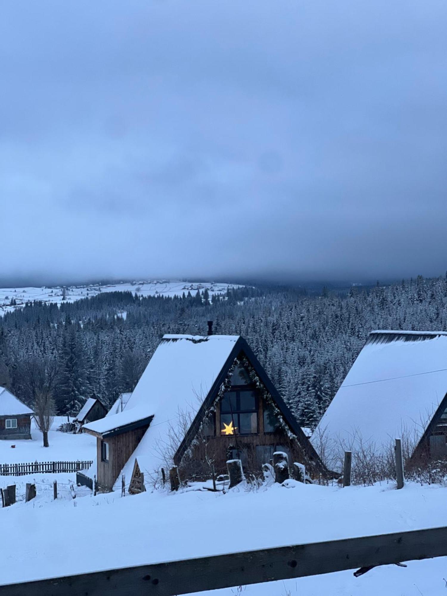 Mokki Villa Mărişel Bagian luar foto